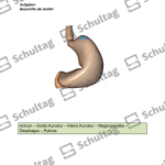 Vorschaubild von Arbeitsblatt