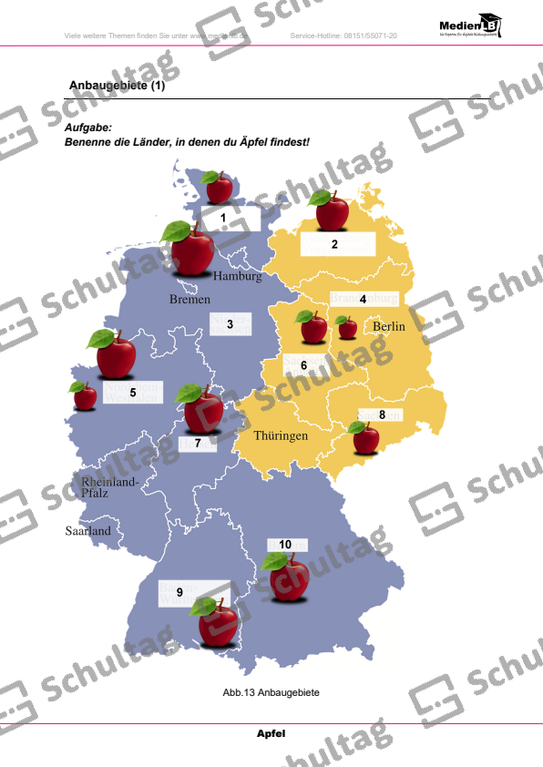 Die Pflanzenfamilie Schultag