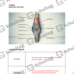 Vorschaubild von Arbeitsblatt