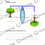 Vorschaubild von Arbeitsblatt