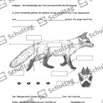 Vorschaubild von Arbeitsblatt