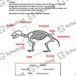 Vorschaubild von Arbeitsblatt