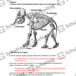 Vorschaubild von Arbeitsblatt