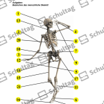 Vorschaubild von Arbeitsblatt