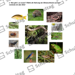 Vorschaubild von Arbeitsblatt