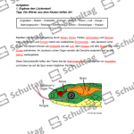 Vorschaubild von Arbeitsblatt