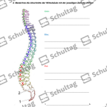 Vorschaubild von Arbeitsblatt