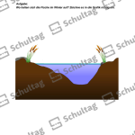 Vorschaubild von Arbeitsblatt