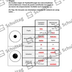 Vorschaubild von Arbeitsblatt