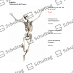 Vorschaubild von Arbeitsblatt