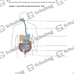 Vorschaubild von Arbeitsblatt