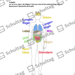 Vorschaubild von Arbeitsblatt