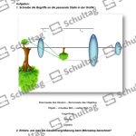 Vorschaubild von Arbeitsblatt