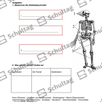 Vorschaubild von Arbeitsblatt