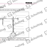 Vorschaubild von Arbeitsblatt