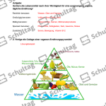 Vorschaubild von Arbeitsblatt