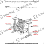 Vorschaubild von Arbeitsblatt