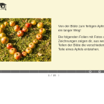 Vorschaubild von Arbeitsblatt
