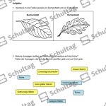 Vorschaubild von Arbeitsblatt