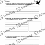 Vorschaubild von Arbeitsblatt