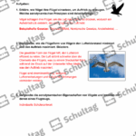 Vorschaubild von Arbeitsblatt