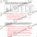 Vorschaubild von Arbeitsblatt