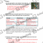 Vorschaubild von Arbeitsblatt