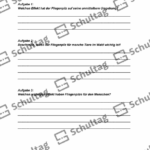 Vorschaubild von Arbeitsblatt