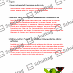 Vorschaubild von Arbeitsblatt