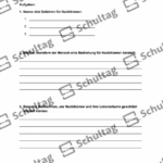 Vorschaubild von Arbeitsblatt