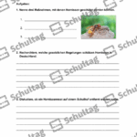 Vorschaubild von Arbeitsblatt
