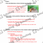 Vorschaubild von Arbeitsblatt