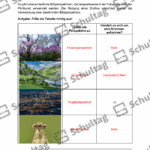 Vorschaubild von Arbeitsblatt