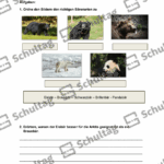 Vorschaubild von Arbeitsblatt