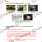 Vorschaubild von Arbeitsblatt