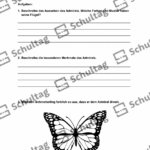 Vorschaubild von Arbeitsblatt