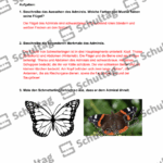 Vorschaubild von Arbeitsblatt