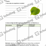 Vorschaubild von Arbeitsblatt