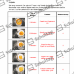 Vorschaubild von Arbeitsblatt