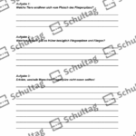 Vorschaubild von Arbeitsblatt