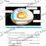 Vorschaubild von Arbeitsblatt