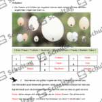 Vorschaubild von Arbeitsblatt