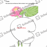 Vorschaubild von Arbeitsblatt