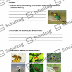 Vorschaubild von Arbeitsblatt