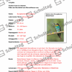 Vorschaubild von Arbeitsblatt