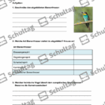 Vorschaubild von Arbeitsblatt