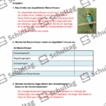 Vorschaubild von Arbeitsblatt
