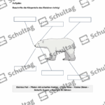 Vorschaubild von Arbeitsblatt