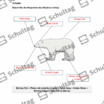 Vorschaubild von Arbeitsblatt