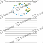 Vorschaubild von Arbeitsblatt